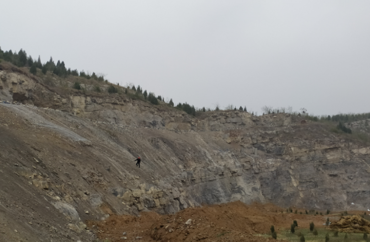 1725154346515096536.png image.png