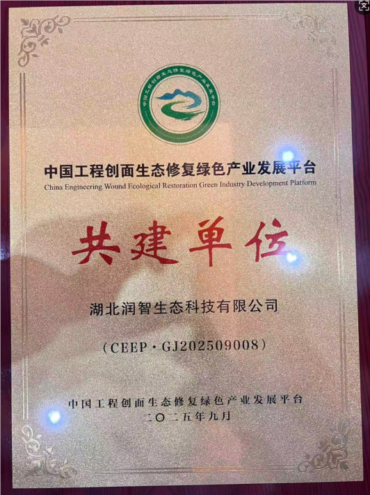 1759198344450008220.png QQ_1759198342818.png